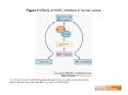 Yoo CB and Jones PA (2006) Epigenetic therapy of cancer: past, present and future PowerPoint PPT Presentation
