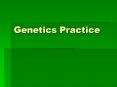 Genetics Practice PowerPoint PPT Presentation