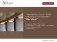 Terminations, Human Rights and Pension and Benefits  PowerPoint PPT Presentation