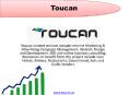 Toucan Internet Marketing PowerPoint PPT Presentation