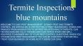 Termite Inspections sydney PowerPoint PPT Presentation