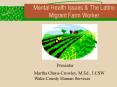 Mental Health Issues PowerPoint PPT Presentation