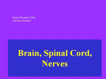 Brain, Spinal Cord, Nerves