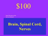 Brain, Spinal Cord, Nerves