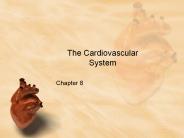 The Cardiovascular System