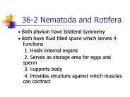36-2 Nematoda and Rotifera