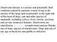 Heartworm disease is a serious and potentially fatal condition caused by parasitic worms living in the arteries of the lungs and occasionally in the right side of the heart of dogs, cats and other species of mammals, including wolves, foxes, ferrets, sea PowerPoint PPT Presentation