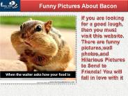 Send Hilarious Pictures  to Your Friend