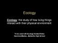 Ecology PowerPoint PPT Presentation