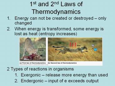 1st and 2nd Laws of Thermodynamics