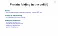 Protein folding in the cell (I) PowerPoint PPT Presentation