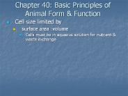 Chapter 40: Basic Principles of Animal Form