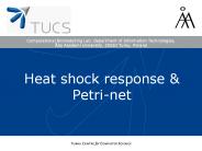 Computational Biomodelling Lab. Department of Information Technologies, 