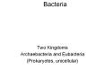 Bacteria PowerPoint PPT Presentation