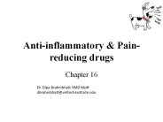 Anti-inflammatory