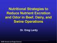 Nutritional Strategies to Reduce Nutrient Excretion and Odor in Beef, Dairy, and Swine Operations PowerPoint PPT Presentation