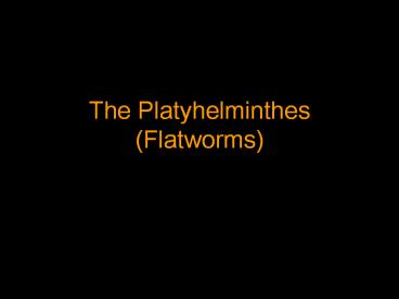 The Platyhelminthes (Flatworms)