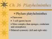 Ch. 36 Platyhelminthes