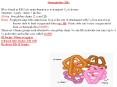 Hemoglobin (Hb) PowerPoint PPT Presentation