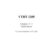 VTHT 1205