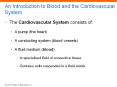 An Introduction to Blood and the Cardiovascular System PowerPoint PPT Presentation