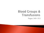 Blood Groups