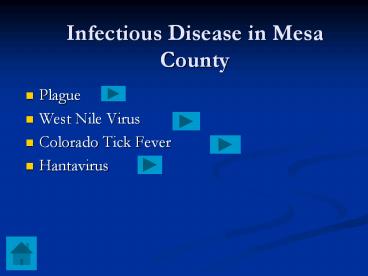 Infectious Disease in Mesa County