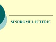 SINDROMUL%20ICTERIC