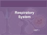 Respiratory System