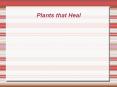 Plants%20that%20Heal PowerPoint PPT Presentation