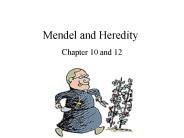 Mendel and Heredity