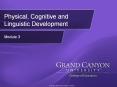 Physical, Cognitive and Linguistic Development PowerPoint PPT Presentation