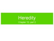 Heredity