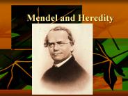 Mendel and Heredity