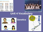 Unit 4 Vocabulary