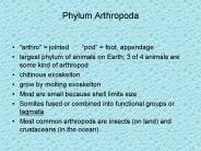 Phylum Arthropoda