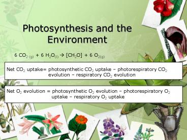 Photosynthesis and the Environment