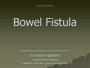 Bowel%20Fistula