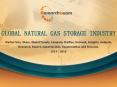 Global Natural Gas Storage Market 2014-2018 Size, Share, Demand Analysis PowerPoint PPT Presentation