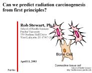 Rob Stewart, Ph.D.
