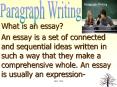 What is an essay? PowerPoint PPT Presentation