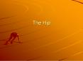 The Hip PowerPoint PPT Presentation
