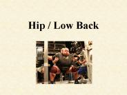 Hip / Low Back