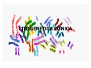 CITOGENETICA CLINICA