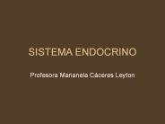 SISTEMA ENDOCRINO