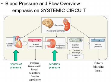 presentation player overlay