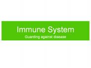 Immune%20System