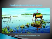 Best Tour Packages In Sri Lanka