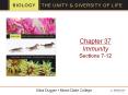 Chapter 37 Immunity Sections 7-12 PowerPoint PPT Presentation