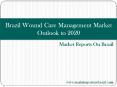 Brazil Wound Care Management Market Outlook to 2020 PowerPoint PPT Presentation